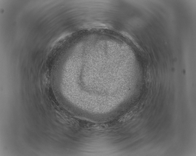 X0000076391063200610271547