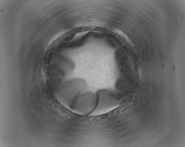 X0000076391064200610271547