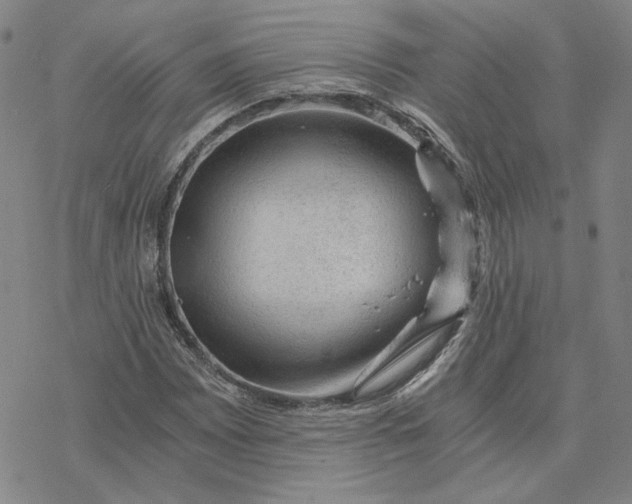 X0000076391065200610271547