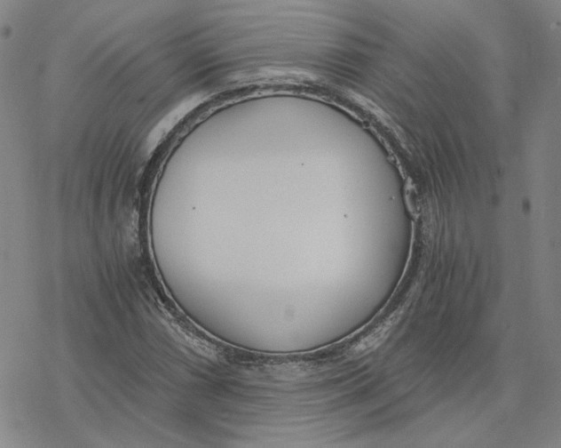 X0000076391066200610271547