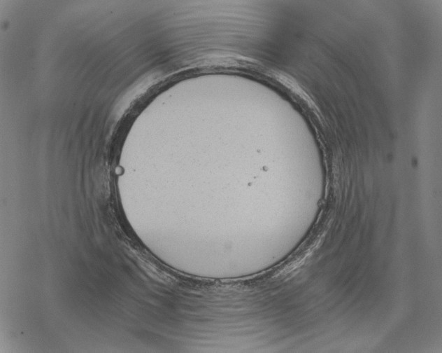 X0000076391067200610271547