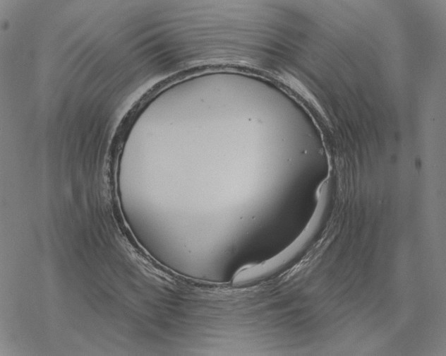 X0000076391068200610271547