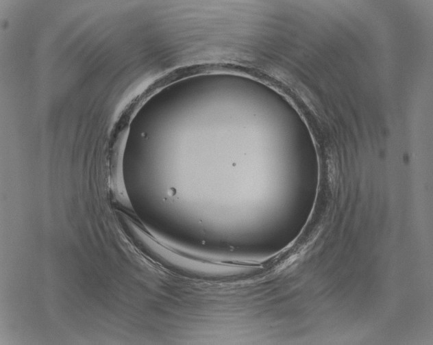 X0000076391069200610271547