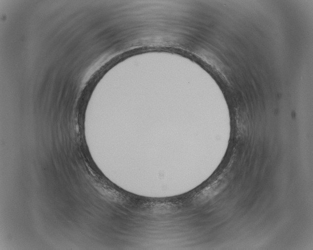 X0000076391070200610271547