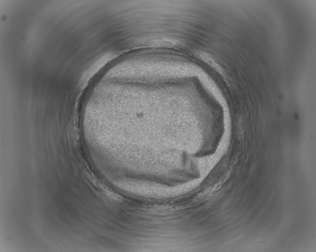 X0000076391071200610271547