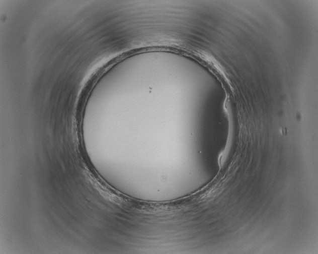 X0000076391072200610271547