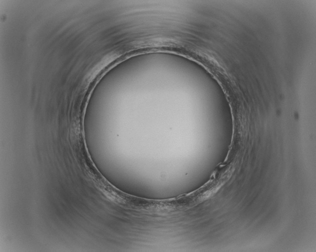 X0000076391073200610271547