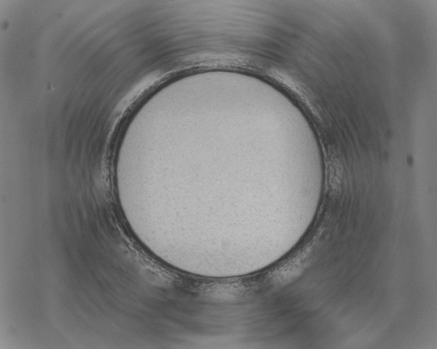 X0000076391074200610271547