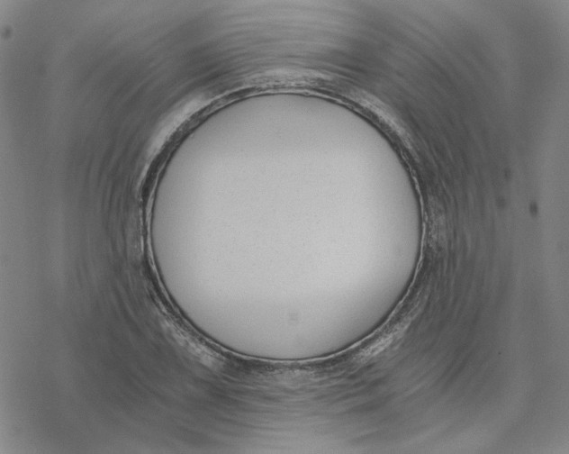 X0000076391075200610271547