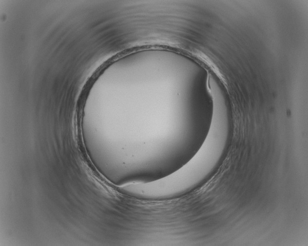 X0000076391076200610271547