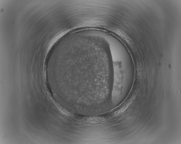 X0000076391077200610271547