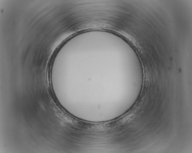 X0000076391078200610271547