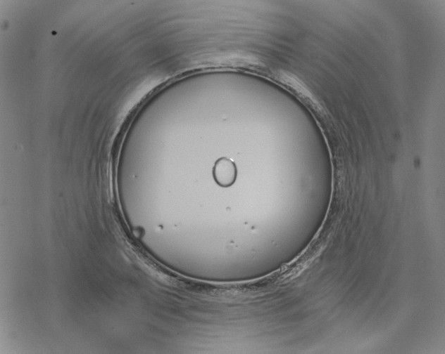 X0000076391079200610271547