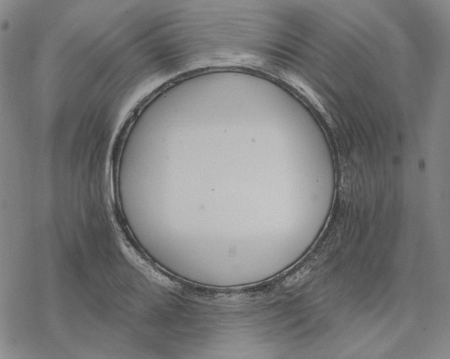 X0000076391080200610271547