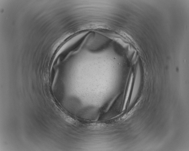 X0000076391081200610271547