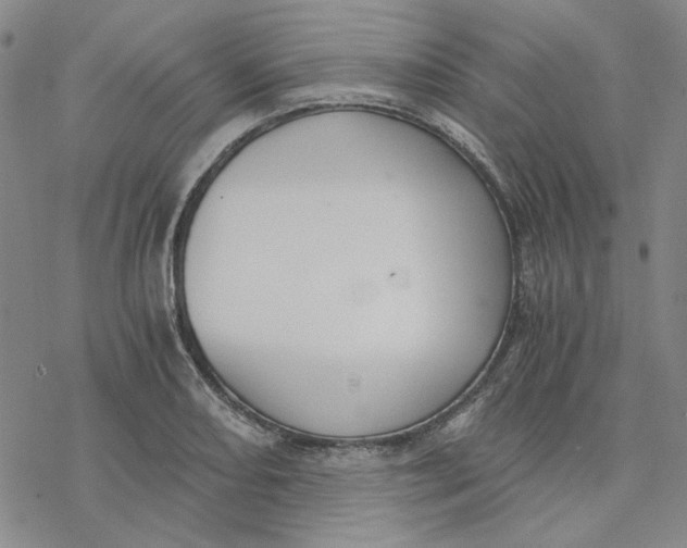 X0000076391082200610271547