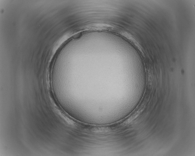 X0000076391083200610271547