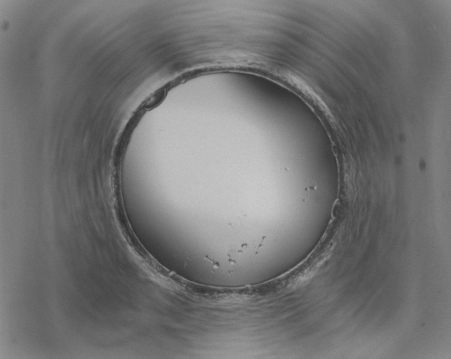 X0000076391085200610271547