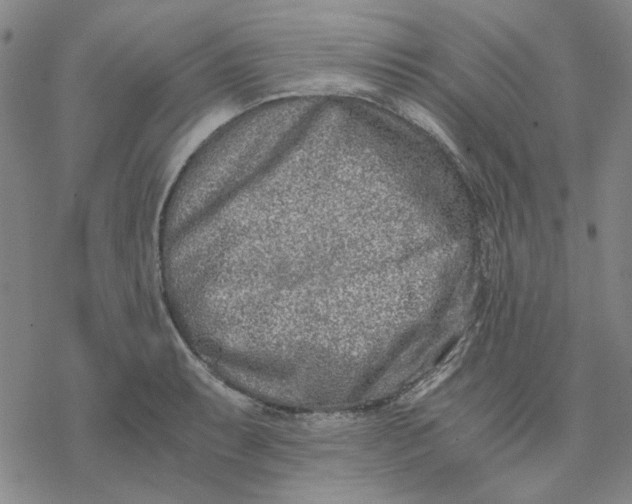 X0000076391087200610271547