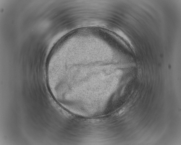 X0000076391088200610271547