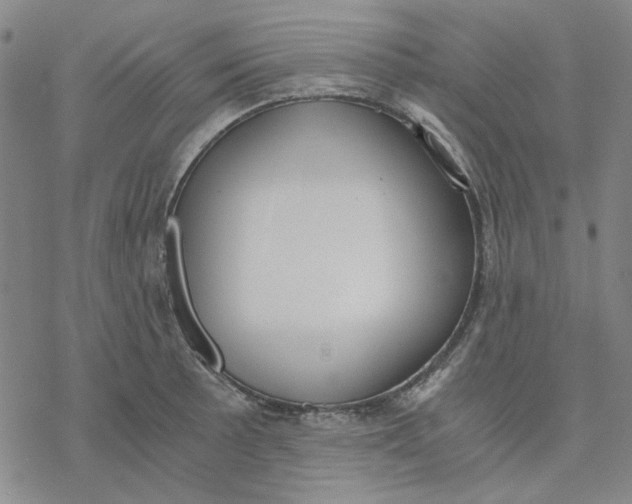 X0000076391089200610271547