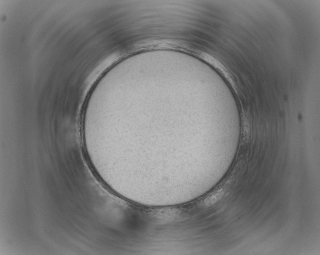 X0000076391090200610271547