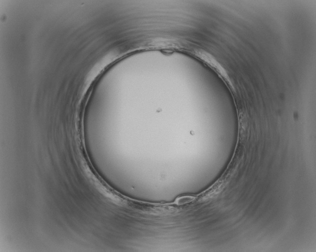 X0000076391091200610271547