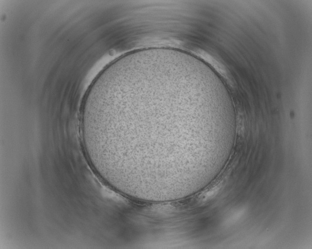 X0000076391094200610271547