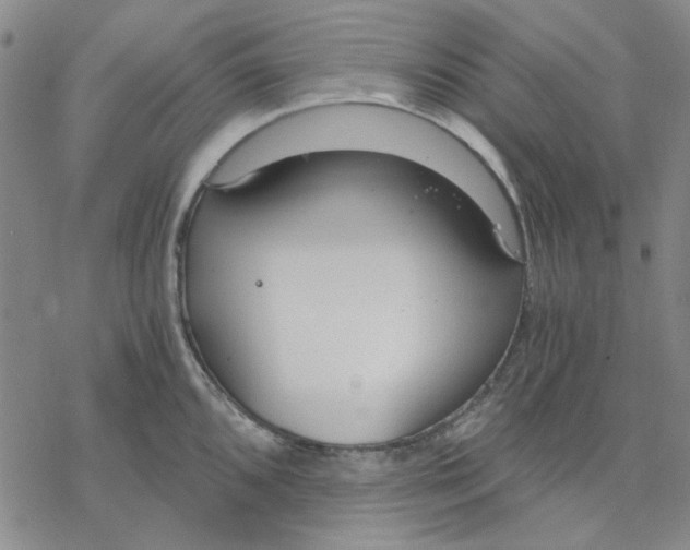 X0000076391096200610271547