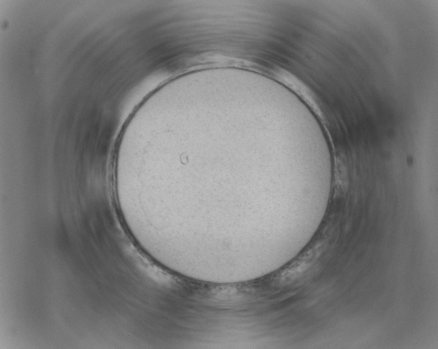 X0000076391098200610271547