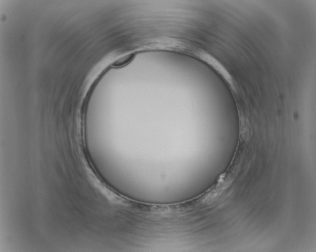 X0000076391099200610271547