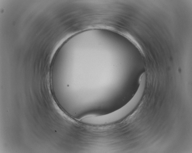 X0000076391100200610271547