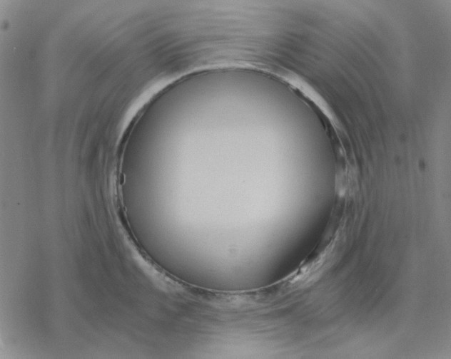 X0000076391101200610271547