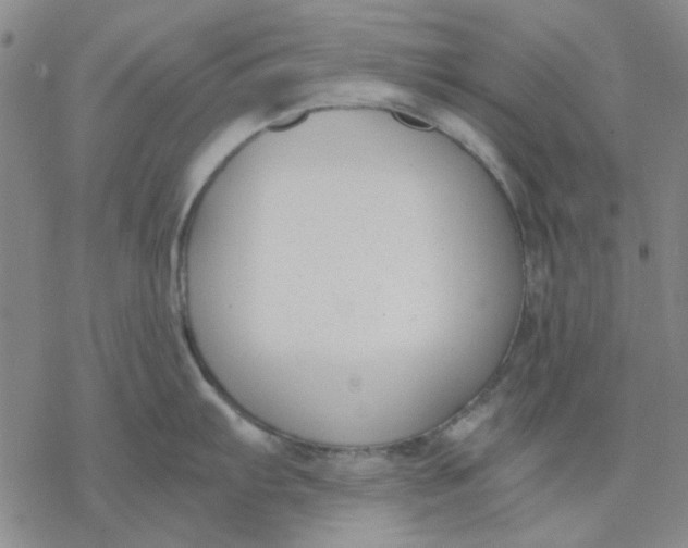 X0000076391103200610271547