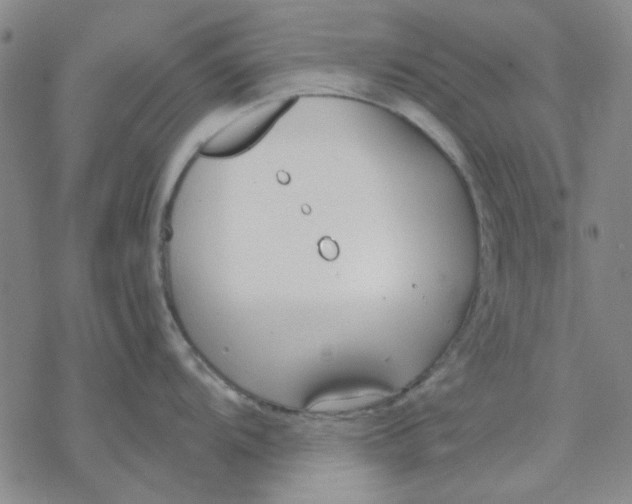 X0000076391104200610271546