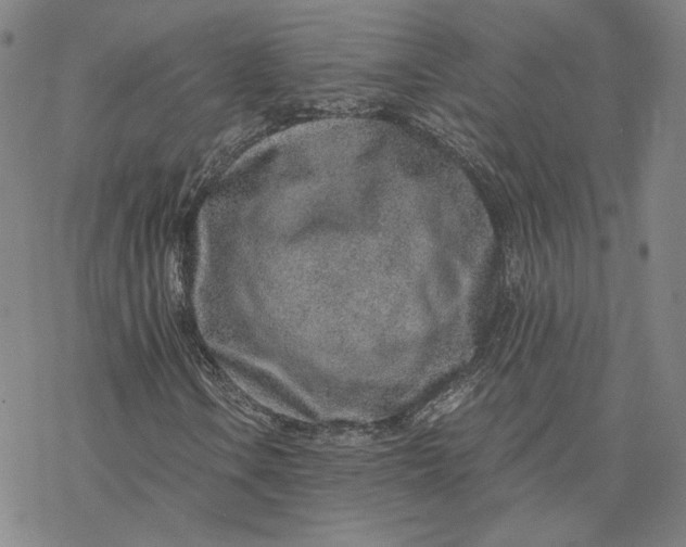 X0000076391106200610271546