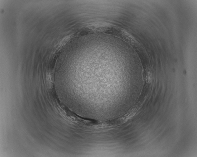 X0000076391108200610271546