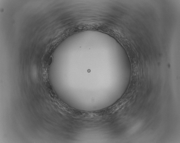 X0000076391109200610271546