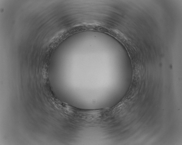 X0000076391110200610271546