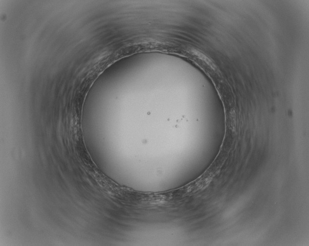 X0000076391111200610271546