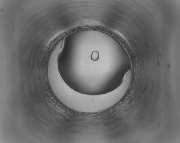 X0000076391112200610271546