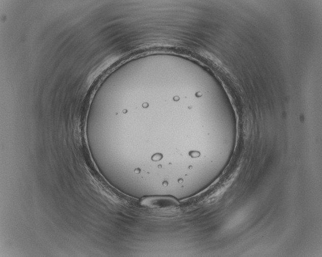 X0000076391113200610271546