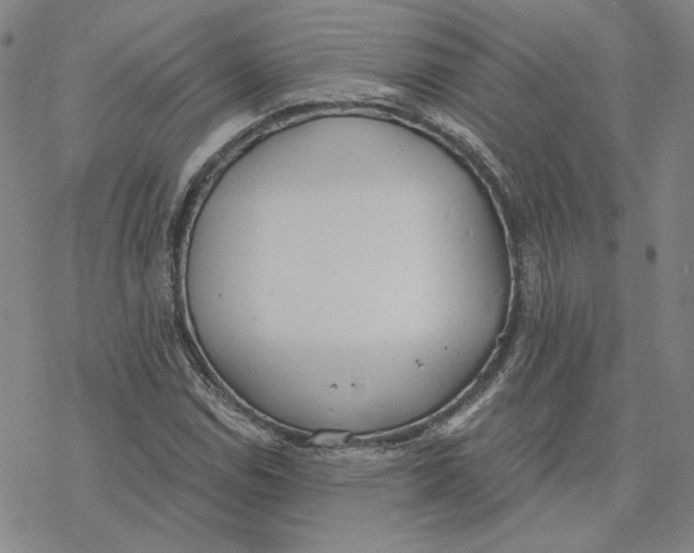 X0000076391114200610271546