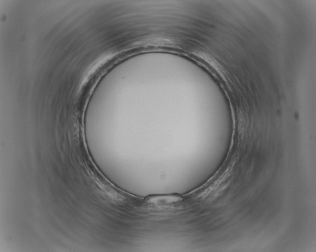 X0000076391115200610271546