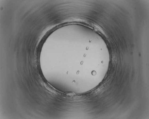 X0000076391116200610271546