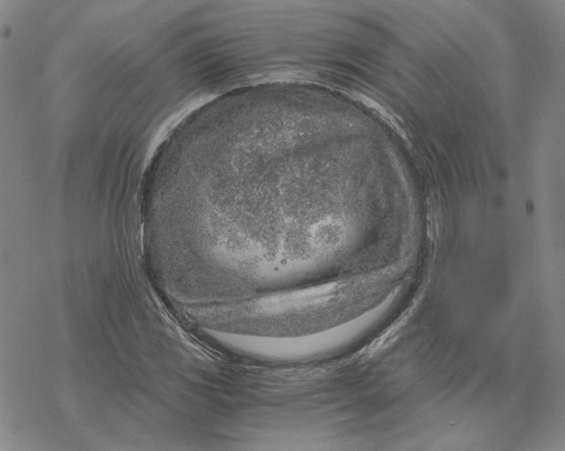 X0000076391117200610271546