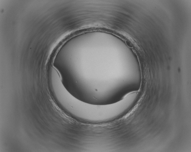 X0000076391118200610271546