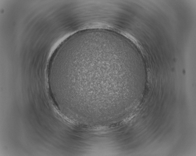 X0000076391120200610271546