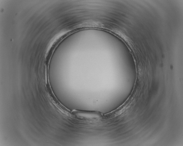 X0000076391123200610271546