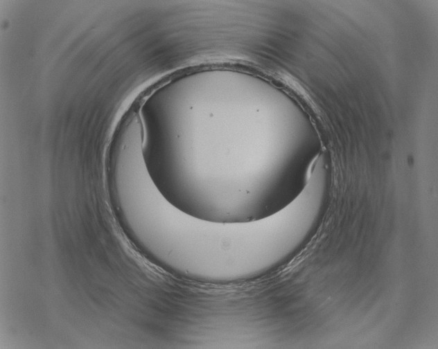 X0000076391124200610271546